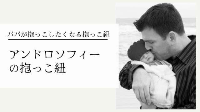 口コミでパパが大絶賛！アンドロソフィーの抱っこ紐をレビュー 